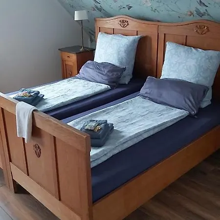 Zaunkoenig Eversmeer